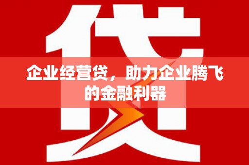 定安企业经营贷，助力企业腾飞的金融利器