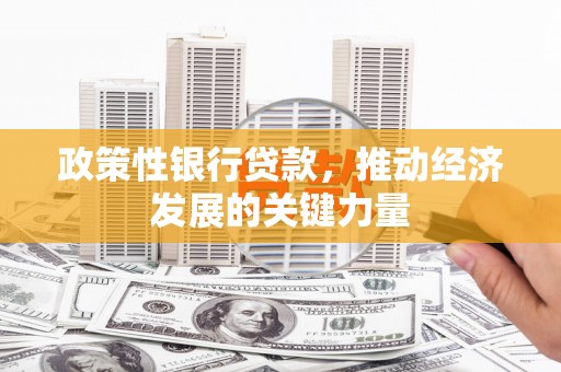 定安政策性银行贷款，推动经济发展的关键力量