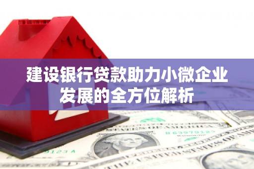 定安建设银行贷款助力小微企业发展的全方位解析