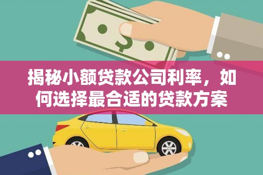 定安揭秘小额贷款公司利率，如何选择最合适的贷款方案