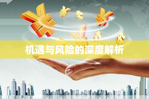 定安机遇与风险的深度解析
