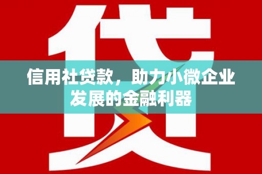 定安信用社贷款，助力小微企业发展的金融利器