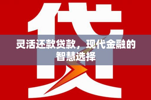 定安灵活还款贷款，现代金融的智慧选择