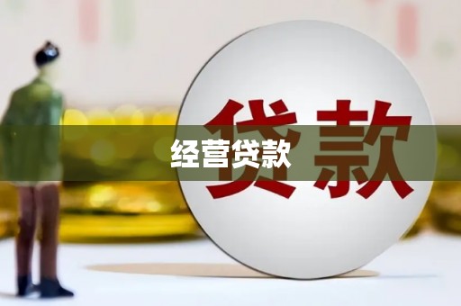 定安经营贷款