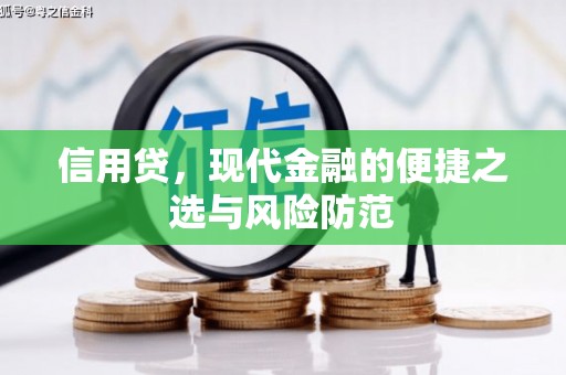 定安信用贷，现代金融的便捷之选与风险防范