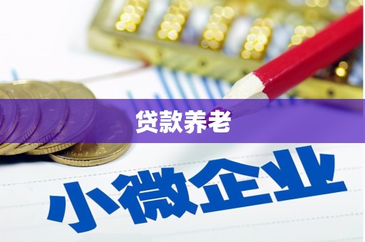 定安贷款养老