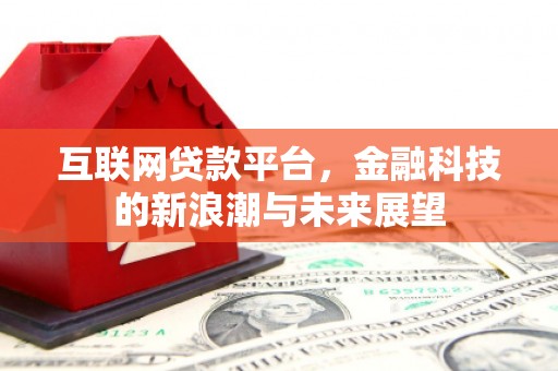 定安互联网贷款平台，金融科技的新浪潮与未来展望