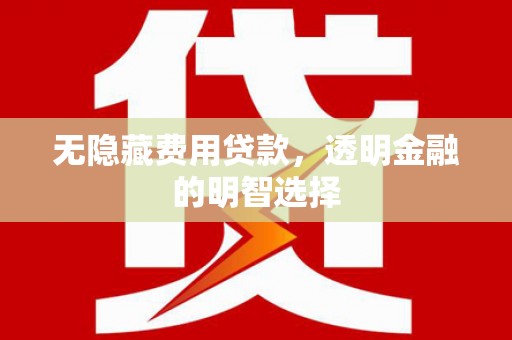 定安无隐藏费用贷款，透明金融的明智选择