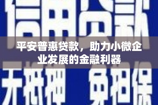 定安平安普惠贷款，助力小微企业发展的金融利器