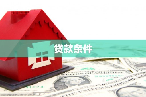 定安贷款条件