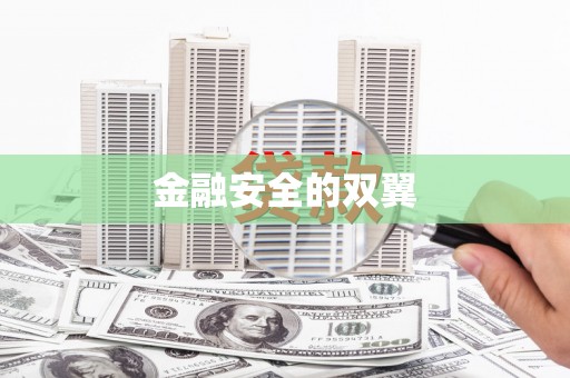 定安金融安全的双翼