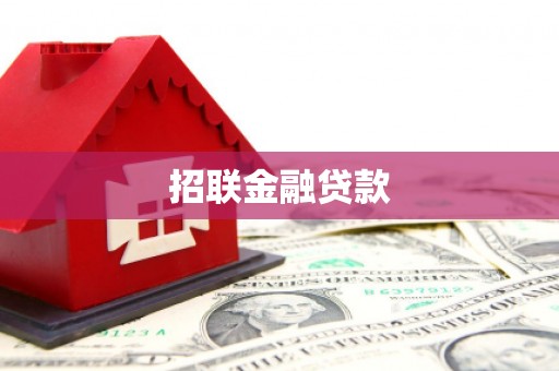定安招联金融贷款