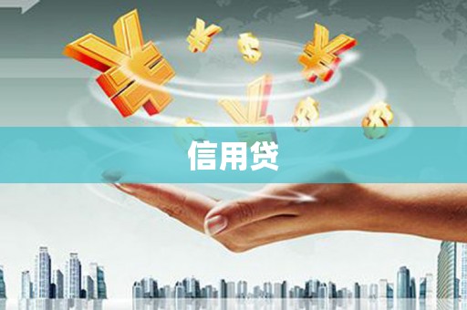 定安信用贷