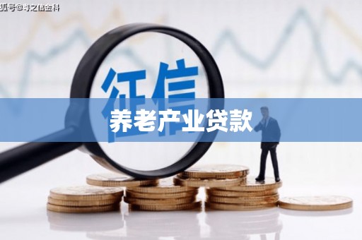 定安养老产业贷款
