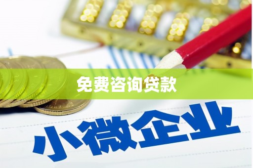 定安免费咨询贷款