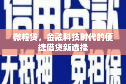 定安微粒贷，金融科技时代的便捷借贷新选择