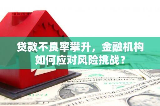定安贷款不良率攀升，金融机构如何应对风险挑战？