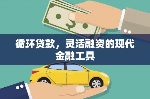 定安循环贷款，灵活融资的现代金融工具