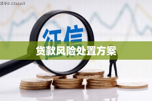 定安贷款风险处置方案