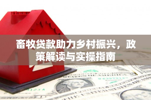 定安畜牧贷款助力乡村振兴，政策解读与实操指南