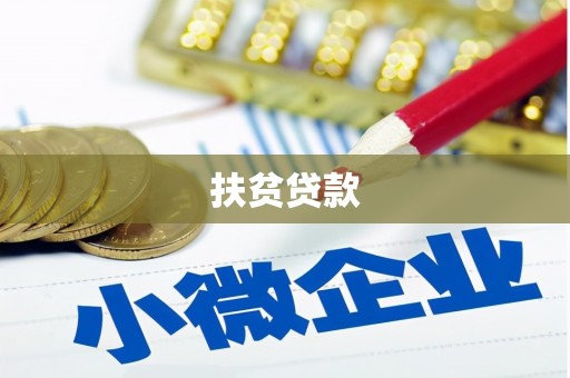 定安扶贫贷款