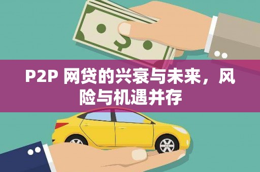 定安P2P 网贷的兴衰与未来，风险与机遇并存