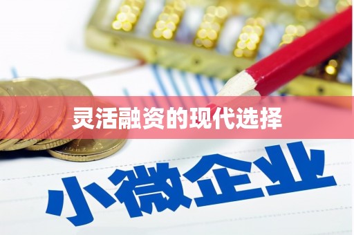 定安灵活融资的现代选择