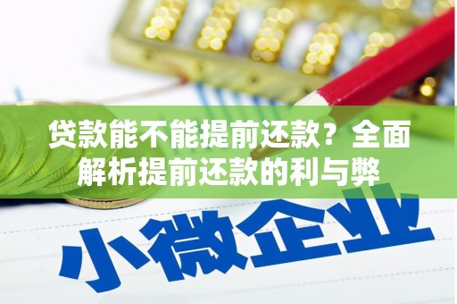 定安贷款能不能提前还款？全面解析提前还款的利与弊