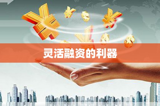 定安灵活融资的利器