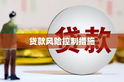 定安贷款风险控制措施