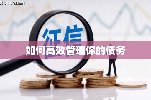 定安如何高效管理你的债务
