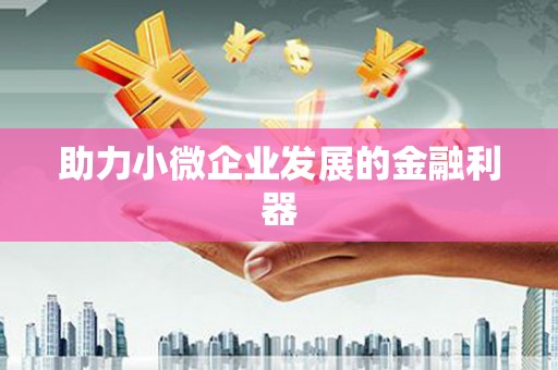 定安助力小微企业发展的金融利器