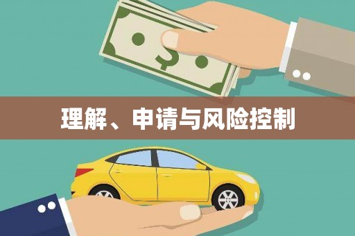 定安理解、申请与风险控制