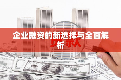 定安企业融资的新选择与全面解析