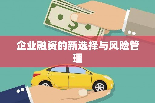 定安企业融资的新选择与风险管理