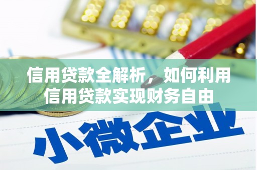 定安信用贷款全解析，如何利用信用贷款实现财务自由