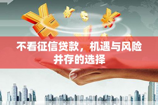 定安不看征信贷款，机遇与风险并存的选择