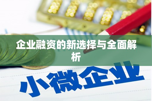 定安企业融资的新选择与全面解析
