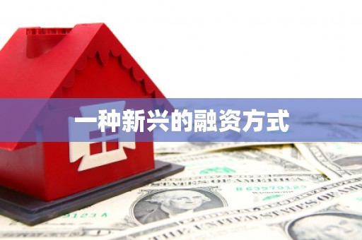 定安一种新兴的融资方式