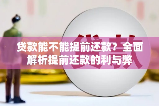 定安贷款能不能提前还款？全面解析提前还款的利与弊
