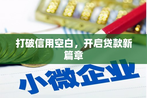 定安打破信用空白，开启贷款新篇章