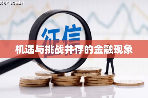定安机遇与挑战并存的金融现象