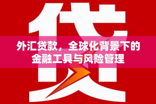 定安外汇贷款，全球化背景下的金融工具与风险管理