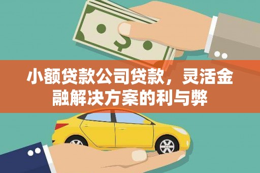 定安小额贷款公司贷款，灵活金融解决方案的利与弊