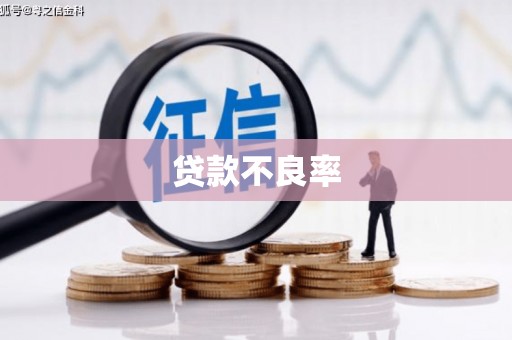 定安贷款不良率