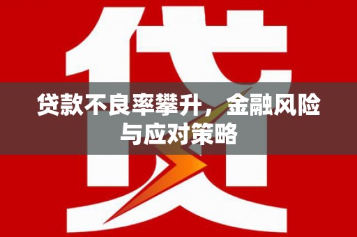 定安贷款不良率攀升，金融风险与应对策略