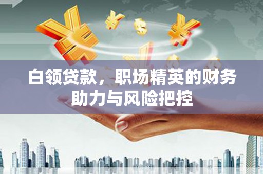 定安白领贷款,职场精英的财务助力与风险把控 定安白领贷款,职场精英的财务助力与风险把控