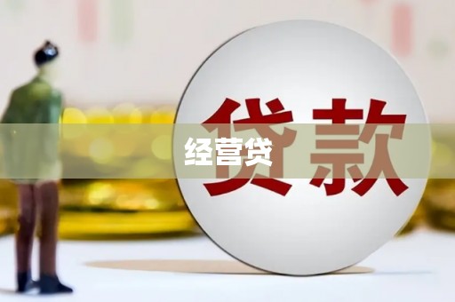 定安经营贷